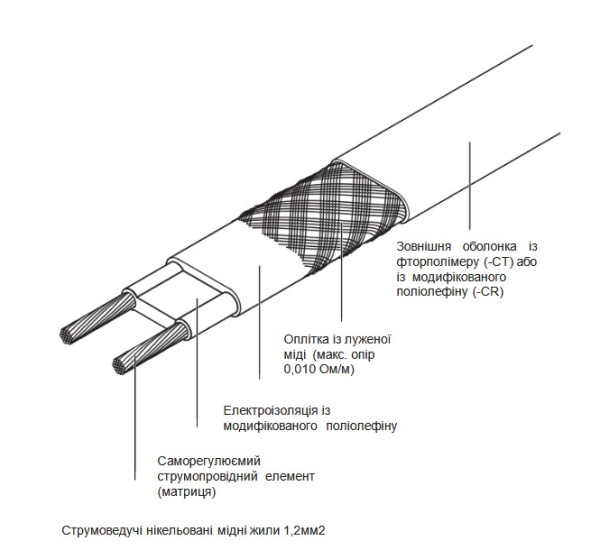 BTV-2CT